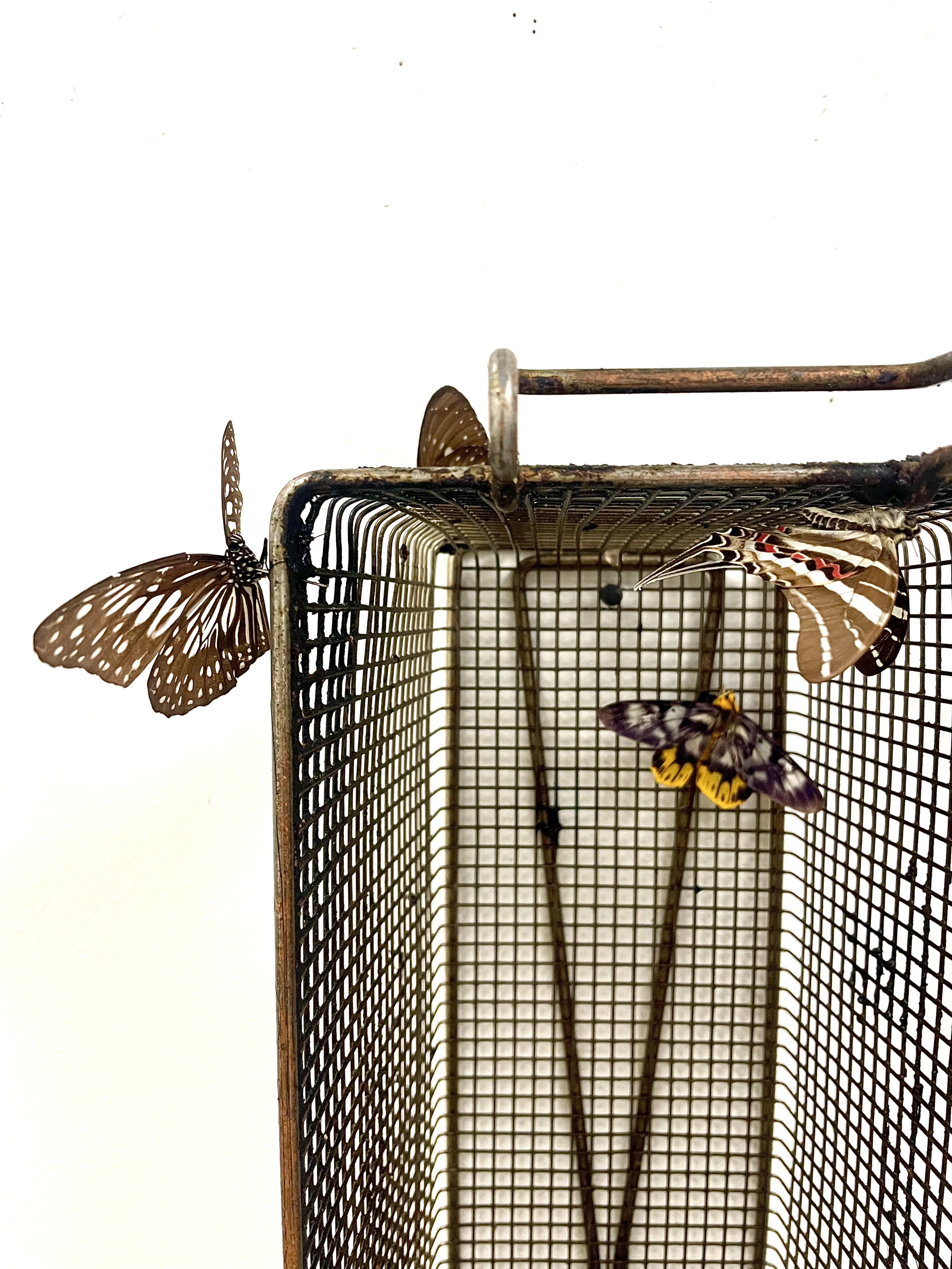 Any Meat on The Bone - A sculpture by Brian Dario, A close up on one corner of a fry basket, showing mostly brown butterflies, with one having some yellow coloration